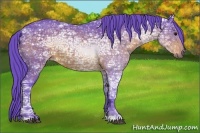 Horse Color:Watercolor Bay Ice 