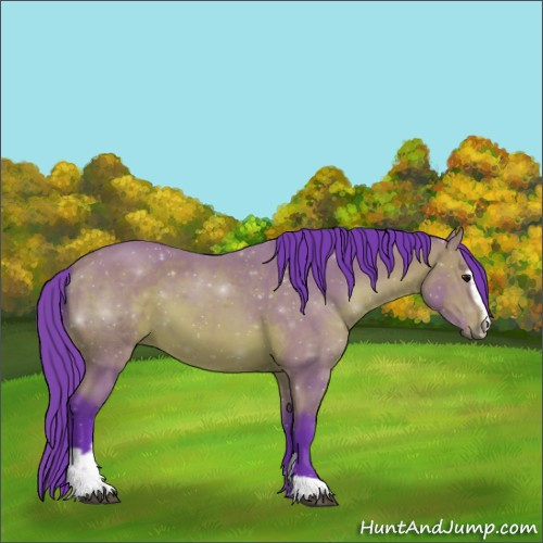 Horse Color:Watercolor Bay Sabino