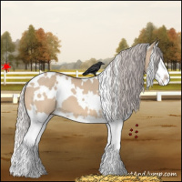 Horse Color:White Spotted Silver Bay Dun Splash 