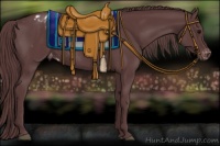 Horse Color:Chocolate Black Appaloosa Rabicano 