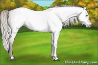 Horse Color:Gray Silver Black Pearl Tobiano 
