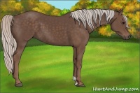 Horse Color:Silver Black 