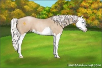 Horse Color:Silver Smoky Blue Roan Pearl Sabino Splash 