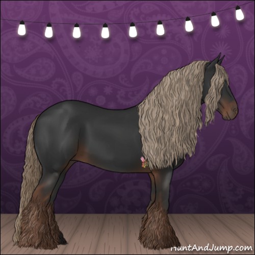 Horse Color:Liver Chestnut Rabicano 