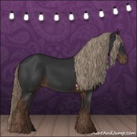 Horse Color:Liver Chestnut Rabicano