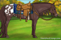 Horse Color:Chocolate Black Appaloosa 