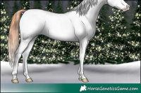 Horse Color:Silver Grullo Sabino Splash Appaloosa  and Grullo Sabino Splash Appaloosa 