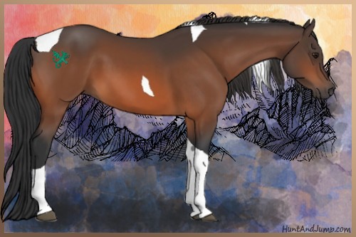 Horse Color:Brown Tobiano