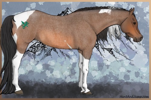 Horse Color:Bay Roan Tobiano