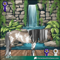 Horse Color:White Spotted Brown Dun Rabicano