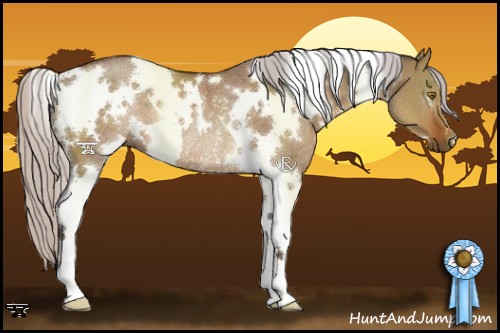 Horse Color:White Spotted Silver Brown Dun Rabicano 