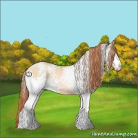 Horse Color:White Spotted Sable Champagne Pearl 
