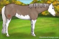 Horse Color:Silver Grullo Sabino Splash