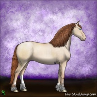 Horse Color:Buckskin Pearl Dun Sabino 