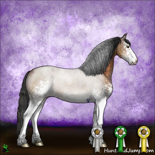 Horse Color:White Spotted Bay Sabino 