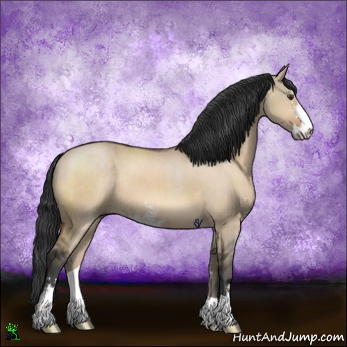 Horse Color:Brown Dun Sabino 