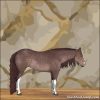 Horse Color:Platinum Chocolate Brown 