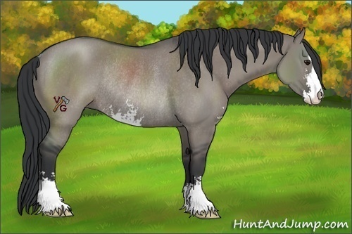 Horse Color:Grullo Sabino Rabicano 