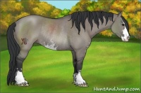 Horse Color:Grullo Sabino Rabicano 