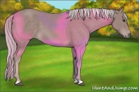 Horse Color:Platinum Chestnut 