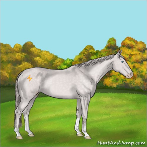 Horse Color:Platinum Perlino