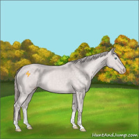 Horse Color:Platinum Perlino
