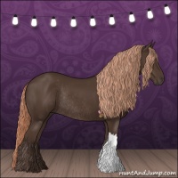 Horse Color:Liver Chestnut Rabicano 