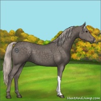 Horse Color:Silver Black 