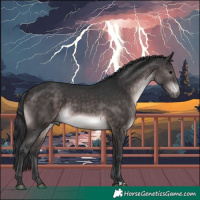 Horse Color:Platinum Brown Mushroom 
