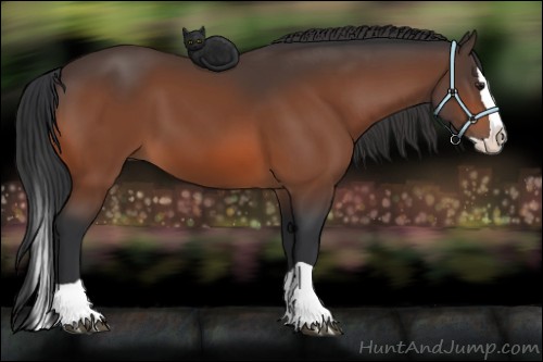 Horse Color:Brown Splash 