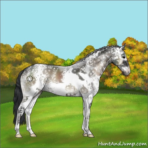 Horse Color:White Spotted Blue Onyx