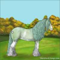 Horse Color:Watercolor White Spotted Brown Pearl