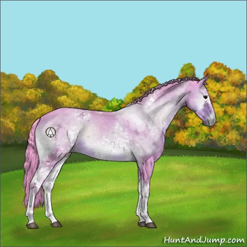 Horse Color:Watercolor White Spotted Brown Ice Onyx