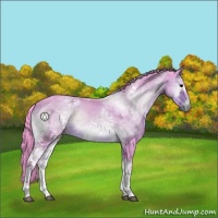 Horse Color:Watercolor White Spotted Brown Ice Onyx 
