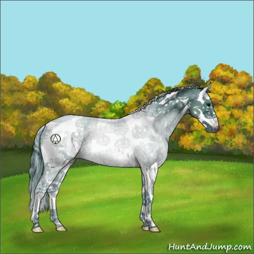 Horse Color:Watercolor White Spotted Black Ice Splash Tobiano