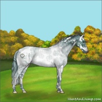 Horse Color:Watercolor White Spotted Black Ice Splash Tobiano 