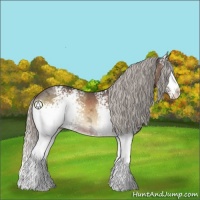 Horse Color:White Spotted Silver Brown Ice Onyx 