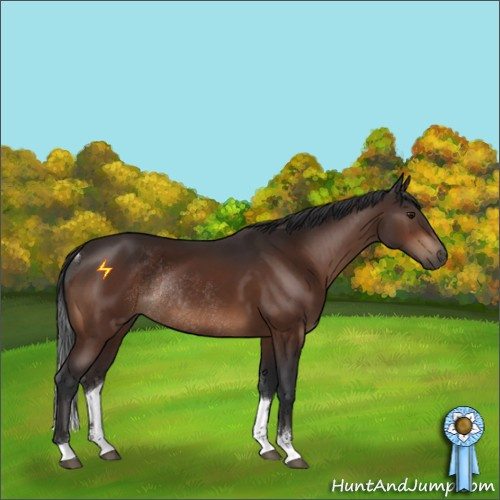 Horse Color:Brown Sabino Rabicano 