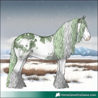 Horse Color:Watercolor White Spotted Liver Red Dun Ice Splash 