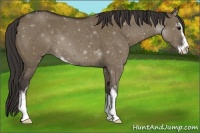 Horse Color:Smoky Grullo Sabino