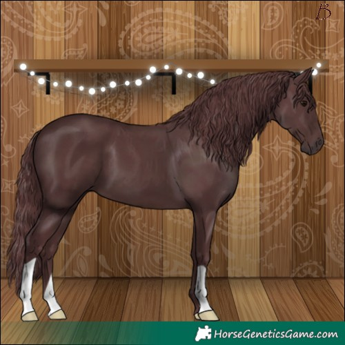 Horse Color:Chocolate Black 