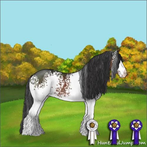 Horse Color:White Spotted Brown 