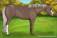 Horse Color:Silver Black 