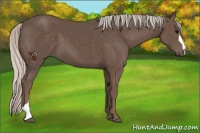 Horse Color:Silver Black 
