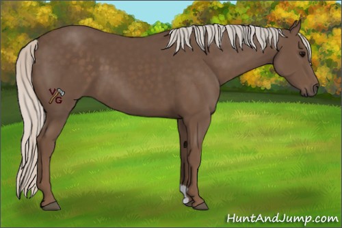 Horse Color:Silver Black 