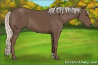 Horse Color:Silver Black 
