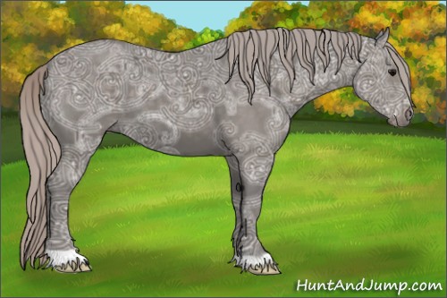 Horse Color:Silver Black Ice 