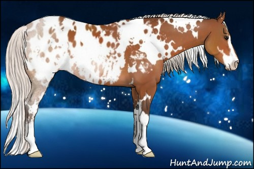 Horse Color:White Spotted Silver Bay Sabino Blanket