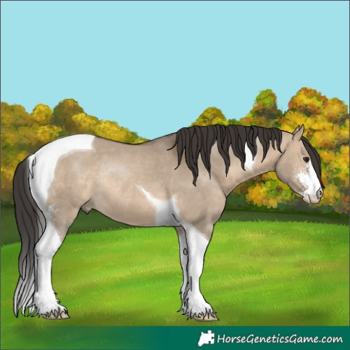 Horse Color:Brown Dun Sabino Tobiano Rabicano