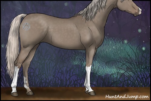 Horse Color:Silver Grullo 